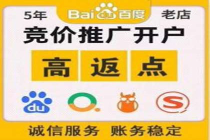 百度竞价广告投放案例剖析